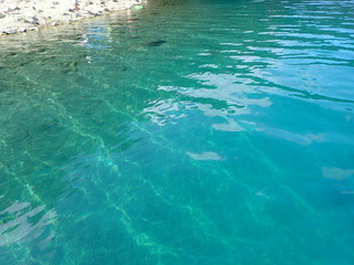 山梨県　美しい本栖湖