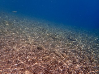 Fototapeta premium 山梨県 美しい本栖湖の水中