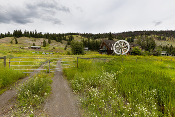 Fototapety na wymiar - Fototapeta24.pl