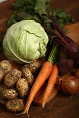 Vegetable Harvest Still Life: Potato, Carrot, Beet, Zucchini, Onion, Cabbage.