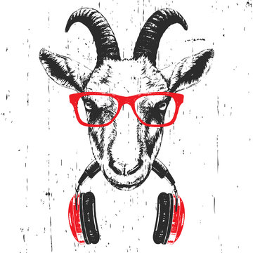 Portrait of Goat with glasses and headphones. Hand-drawn illustration. Vector