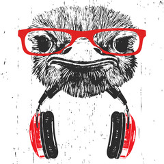 Portrait of Ostrich with glasses and headphones. Hand-drawn illustration. T-shirt design. Vector