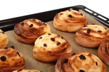Bread Roll with raisins and cottage cheese filling