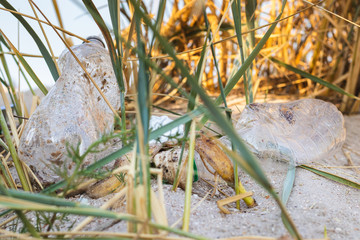 Garbage on the beach, waste picking concept