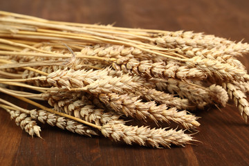 Wheat Ears