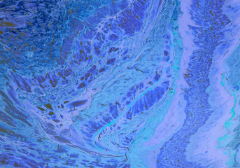 Abstract images from acrylic paint splashed onto canvas background images.