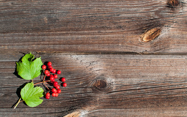 leaf with berries of viburnum on the background of an old wooden Board