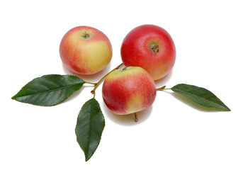 red apples three and fruit leaves isolated on white background