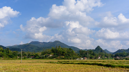 Vue sur les montagnes du Vietnam du Nord et de rizières ainsi que de routes