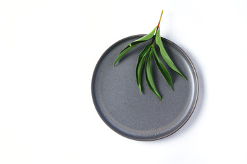 flat plate and green leaves on white background. top view