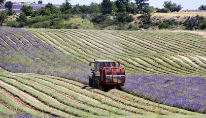 Obraz premium tracteur en plein travail