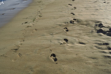 traces de pas sur le sable au bord de la mer