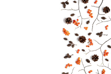 Autumn composition. Pattern made of berry rowan, cones on white background. Autumn, fall, halloween, thanksgiving day concept. Flat lay, top view, copy space