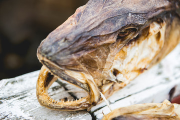 Dried fish head in Norwegian fishing village