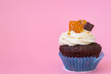 One delicious cupcake on a pink background. White air cream cake decorated with chocolate and candied fruit. Cupcake in a blue paper cup. There is a place for text. The concept of holiday and birthday