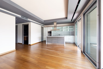 Living room with kitchen island, modern apartment
