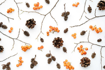 Autumn composition. Pattern made of berry rowan, cones on white background. Autumn, fall, halloween, thanksgiving day concept. Flat lay, top view, copy space