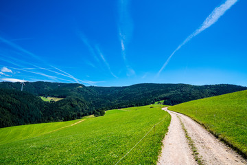 Germany, Hiking path alongside green pastures surrounded by forested fir tree covered black forest mountains nature landscape with view to schauinsland mountain