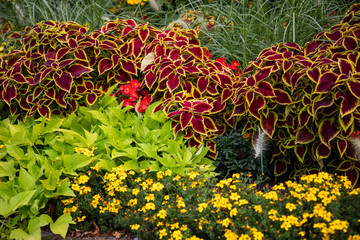 buntes Blumenbeet