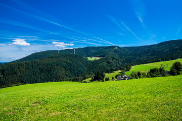 Germany, Untouched nature landscape in black forest national park with view to peak of schauinsland mountain forest land covered by fir trees under blue sky