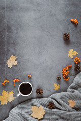Autumn composition. A cup of coffee, sweater, cones, berry rowan and autumn leaves maple on dark concrete background. Autumn, winter concept. Flat lay, top view, copy space