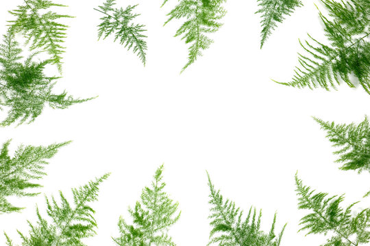 Group of green leaf frame on white background