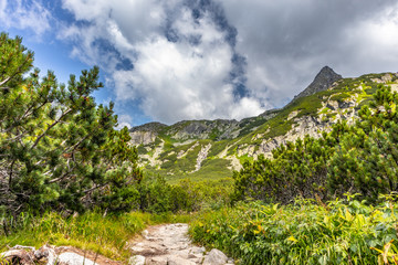 Fototapeta na wymiar Szlak w Tatrach Wysokich
