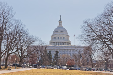 United States Capitol building in Washington DC