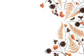 Pattern made of berry rowan, dried fern leaves, cones on white background. Autumn, winter concept. Creative Flat lay, top view, copy space