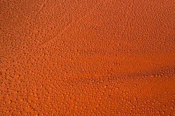Water drops of dew on the roof of a camping tent in the morning
