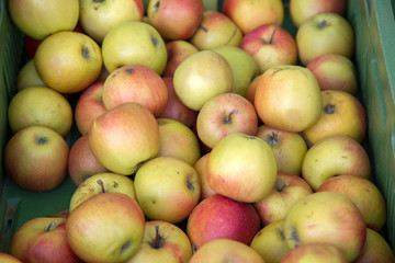 Bunch of Apple