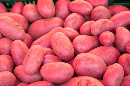 Red Potatoes on Market