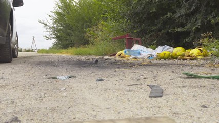 The driver throw garbage on the side of the road 