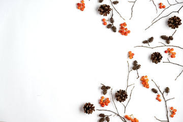 Autumn creative composition. Pattern made of berry rowan, cones on white background. Autumn, fall, thanksgiving day concept. Flat lay, top view, copy space.