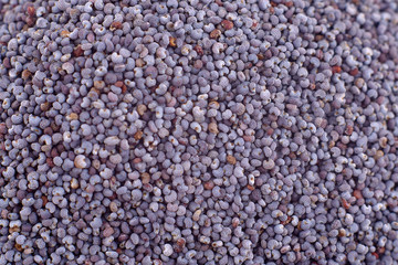 Poppy seeds background texture, copy space, close up. Top view, flat lay