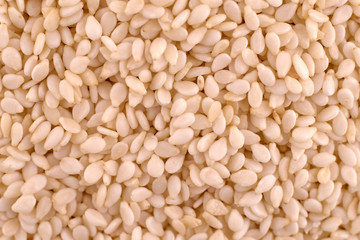 White sesame seeds background texture, copy space, close up. Top view, flat lay
