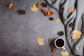 Autumn composition. A cup of coffee, sweater, cones, berry rowan and autumn leaves maple on dark concrete background. Autumn, winter concept. Flat lay, top view, copy space
