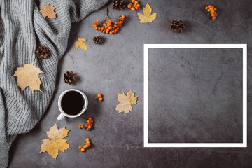 Autumn composition. A cup of coffee, sweater, cones, berry rowan, white frame and autumn leaves maple on dark concrete background. Autumn, winter concept. Flat lay, top view, copy space