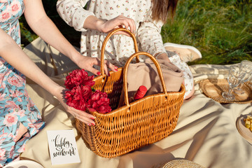 Picnic set with fruit, cheese, toast, honey, wine with a wicker basket and a blanket. Beautiful summer background with girl and products on nature