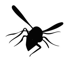 vector, isolated, black silhouette of wasp, bee