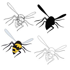 vector, isolated, wasp, bee, insect, with silhouette and sketch