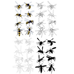 isolated, wasp silhouette, bee, insect, set, collection
