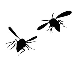 vector, isolated, black silhouette of a wasp, bees fly