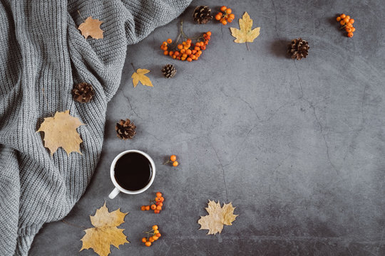 Winter composition. A cup of coffee, sweater, cones, berry rowan and autumn leaves maple on dark concrete background. Autumn, winter concept. Flat lay, top view, copy space