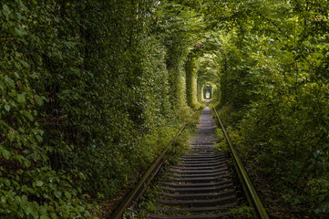 tunnel of love. unexpected, unusual view