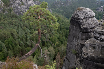 Sächsische Schweiz