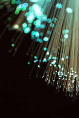 Optical fibers lights in green