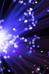 Purple optical fiber glass light