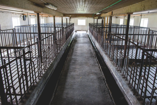Empty animal farm stalls
