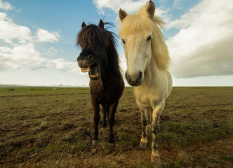 Obraz premium we are all different 